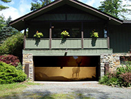 Accent Images - The Buck